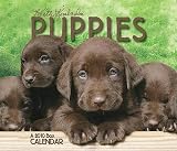 51d8ov8VlrL. SL160  Keith Kimberlin Puppies 2010 Daily Boxed Calendar