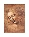 Female Head (La Scapigliata), - Artist: Leonardo Da Vinci - Art Print Poster Size: 11.00 by 14.00 inches