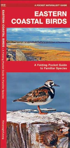 Eastern Coastal Birds: A Folding Pocket Guide to Familiar Species (Pocket Naturalist Guide Series)