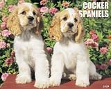 image link - - B001E4GGM2