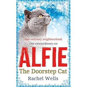 Alfie the Doorstep Cat
