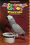 African Grey Parrots: A Complete Guide