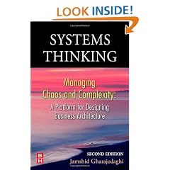 Systems Thinking: Managing Chaos and Complexity: A Platform for Designing Business Architecture