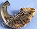 Authentic Natural Ram's Horn Jewish Shofar