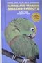 Taming and Training Amazon Parrots