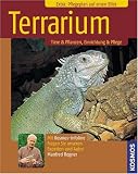 Produkt-Bild: Terrarium: Tiere & Pflanzen, Einrichtung & Pflege