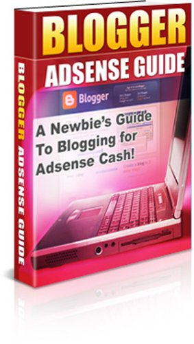 A Newbies Guide To Blogging For Adsense Cash