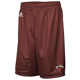 Miami Heat Red Large Logo Mesh Shorts