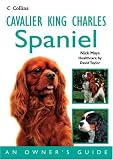 \"Cavalier