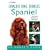 Cavalier King Charles Spaniel: An Owner's Guide (Dog Owners Guide)