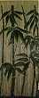 Bamboo Curtain with Bamboo Trees