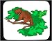 Decorated Mouse Pad with climb, mammal, branch, bear, animal