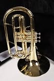 Deg Dynasty M541L Marching Mellophone