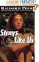 Strays Like Us