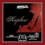 D'Addario Kaplan Golden Spiral Solo Violin Single D String, 4/4 Scale