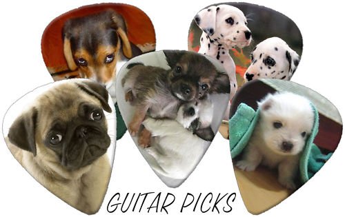 picks of puppies. Please Note Shipped From UK Allow 7 - 12 Days Delivery Time; Please Note Shipped From UK Allow 7 - 12 Days Delivery Time; Cute Puppies picks of puppies. picks of puppies. Please Note Shipped From UK Allow 7 - 12 Days Delivery Time; Please Note Shipped From UK Allow 7 - 12 Days Delivery Time; Cute Puppies