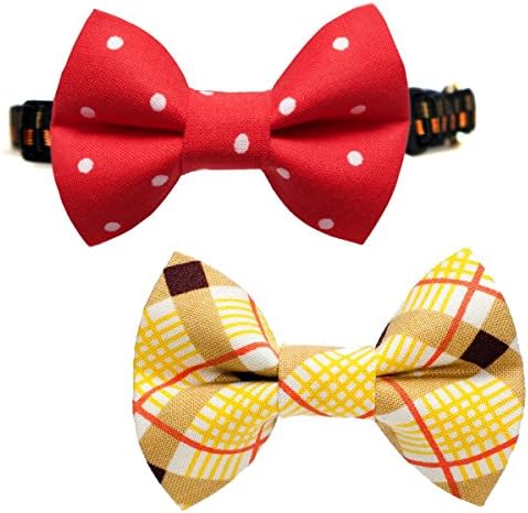 Business Cat Bow Tie - 2 Piece Set with Breakaway Collar (The Apprentice Set)