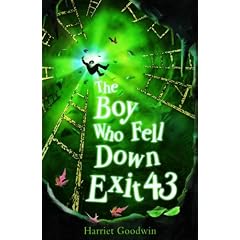 The Boy Who Fell Down Exit 43