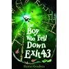 The Boy Who Fell Down Exit 43