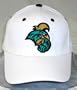 Coastal Carolina Chanticleers NCAA Adult White Wool 1-Fit Hat Large