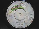 Gates, David Never Let Her Go 7" Elektra K12165 EX 1974