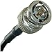 RF/Coaxial Cable Assembly, BNC Straight Plug, BNC Straight Plug, Belden 8218, 75 ohm, 2 ft