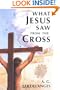What Jesus Saw from the Cross
