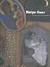 Books : Betye Saar