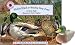 Search : Smithsonian's Backyard Storybook - Mallard Duck at Meadow View Pond & Plush Mallard