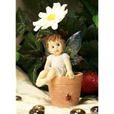 Kitchen Fairy on Daisy Pot