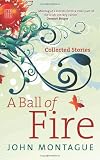 A Ball of Fire: Collected Stories