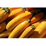 Winter Vegetables to Grow