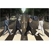 Pet Supplies : "Tabby Road" Mat by Don Roth - 15" x 23"