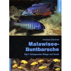 Malawisee-Buntbarsche, Teil 1: Erfolgreiche Pflege und Zucht