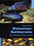 Malawisee-Buntbarsche, Teil 1: Erfolgreiche Pflege und Zucht
