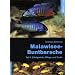 Malawisee-Buntbarsche, Teil 1: Erfolgreiche Pflege und Zucht