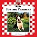 boston_terrier34boston terrier - Boston Terriers Dogs