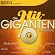 Die Hit-Giganten: Sommerhits
