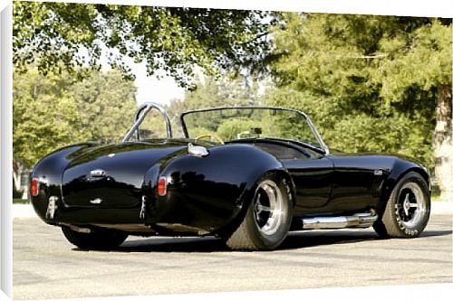 Canvas Print of Shelby Cobra 427 from Car Photo Library