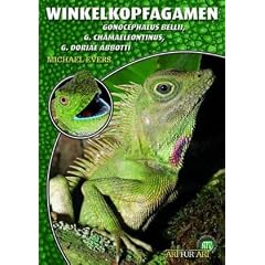 Art f�r Art Agamen 09. Winkelkopfagamen: Gonocephalus bellii, G. chamaeleontinus, G. doriae abbotti