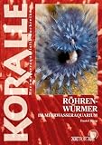 Roehrenwuermer im Meeresaquarium
