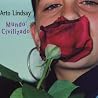 Bild des Albums von Arto Lindsay