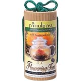  : Primula Gift Set of 12 Assorted Green Tea Flowers