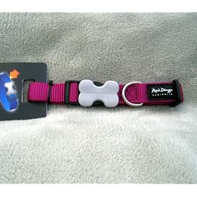 Red Dingo Dog Collar, Medium