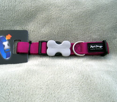 Red Dingo Dog Collar, Medium, Purple