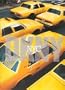 Dkny: Nyc/Book and Cd-Rom