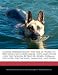 Canine Hydrotherapy: The Use of Water to Help Dogs with Sore Backs, Hips, and Joints Like the Golden Retriever, Boxer, German Shepherd, Gre