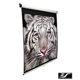 Elite Manual Pull Down Screen 99″ diagonal projector screen