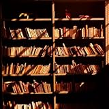 Library Books on Shelves, in Sunlight and Shadows Photographic Poster Print by H. Armstrong Roberts, 16x16 Library Books on Shelves, in Sunlight and Shadows Photographic Poster Print by H. Armstrong Roberts, 16x16