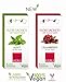 RADIUS Travel Vegan Dental Floss SACHET SINGLE Cranberry Vegan, 20 Count
